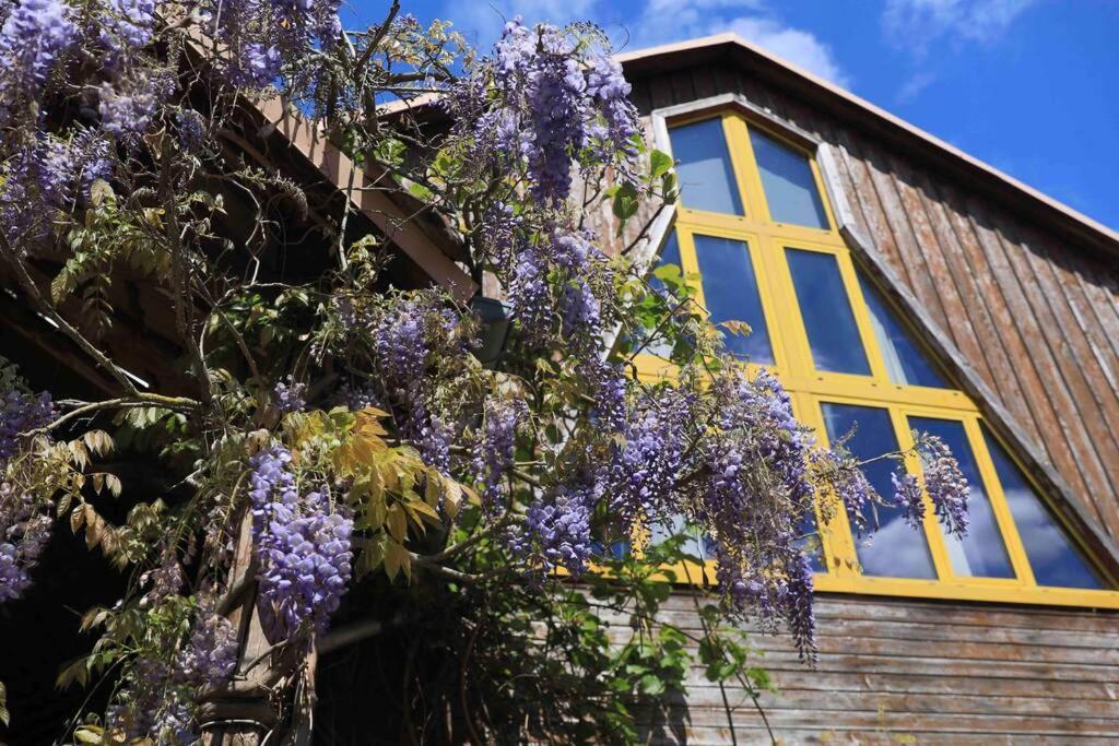La Grange De Jeannette Apartment Burnhaupt-le-Haut Bagian luar foto